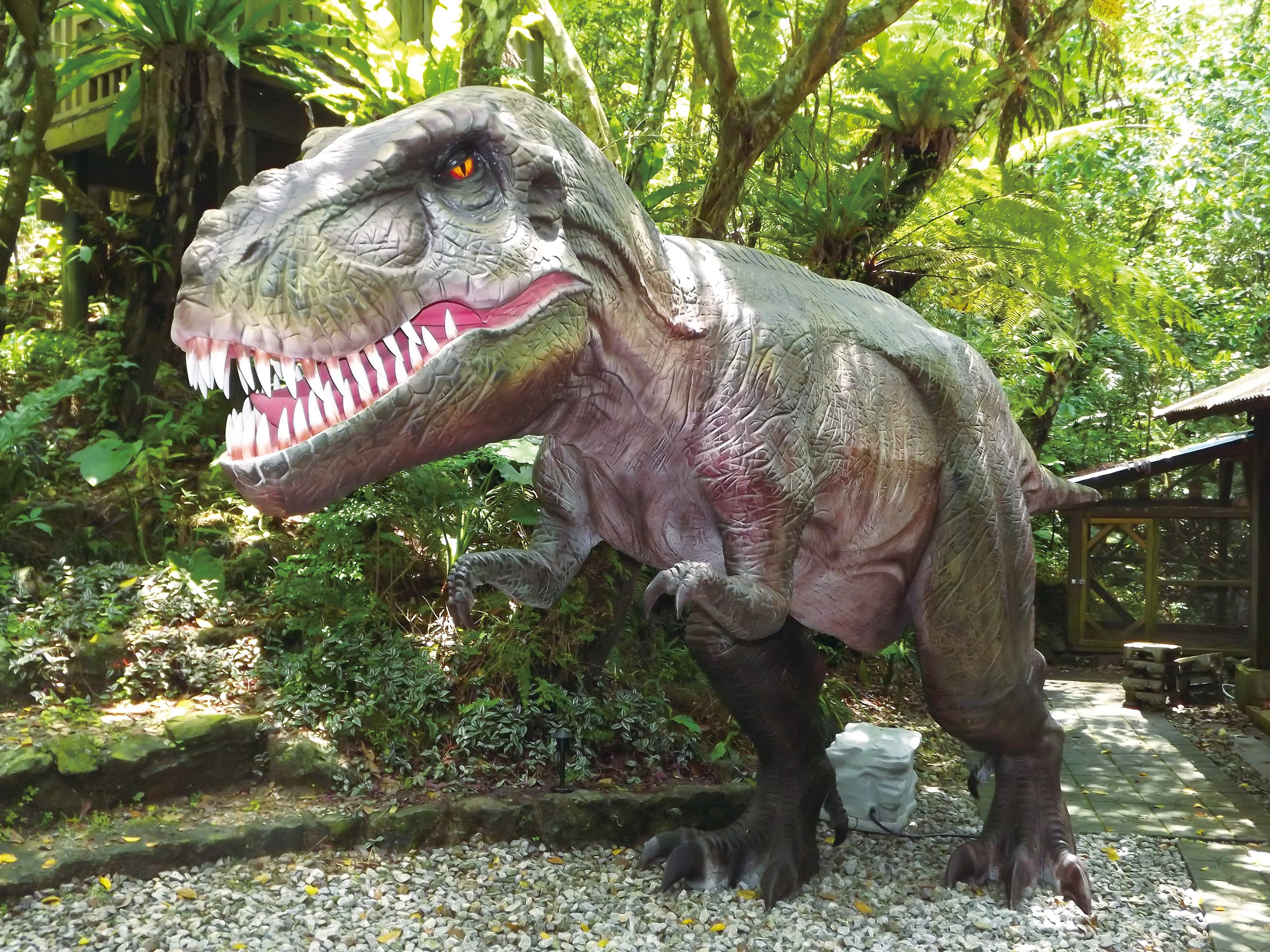 Парк динозавров DINO