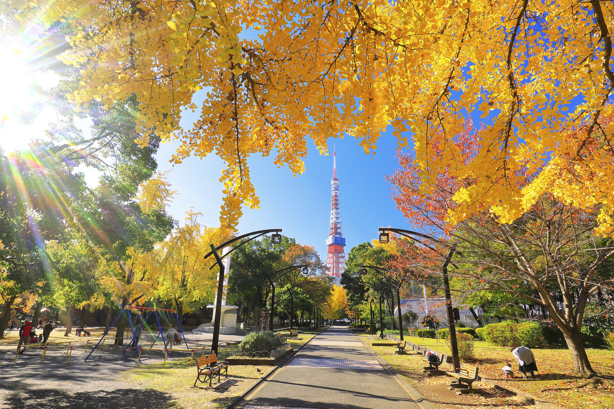 Shiba Park cover image