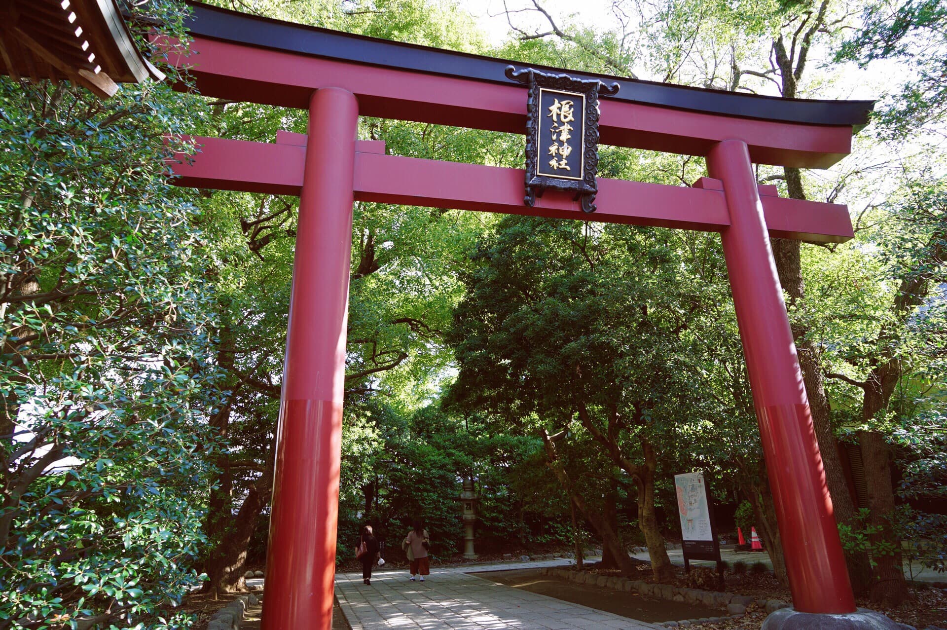 Nezu Shrine cover image