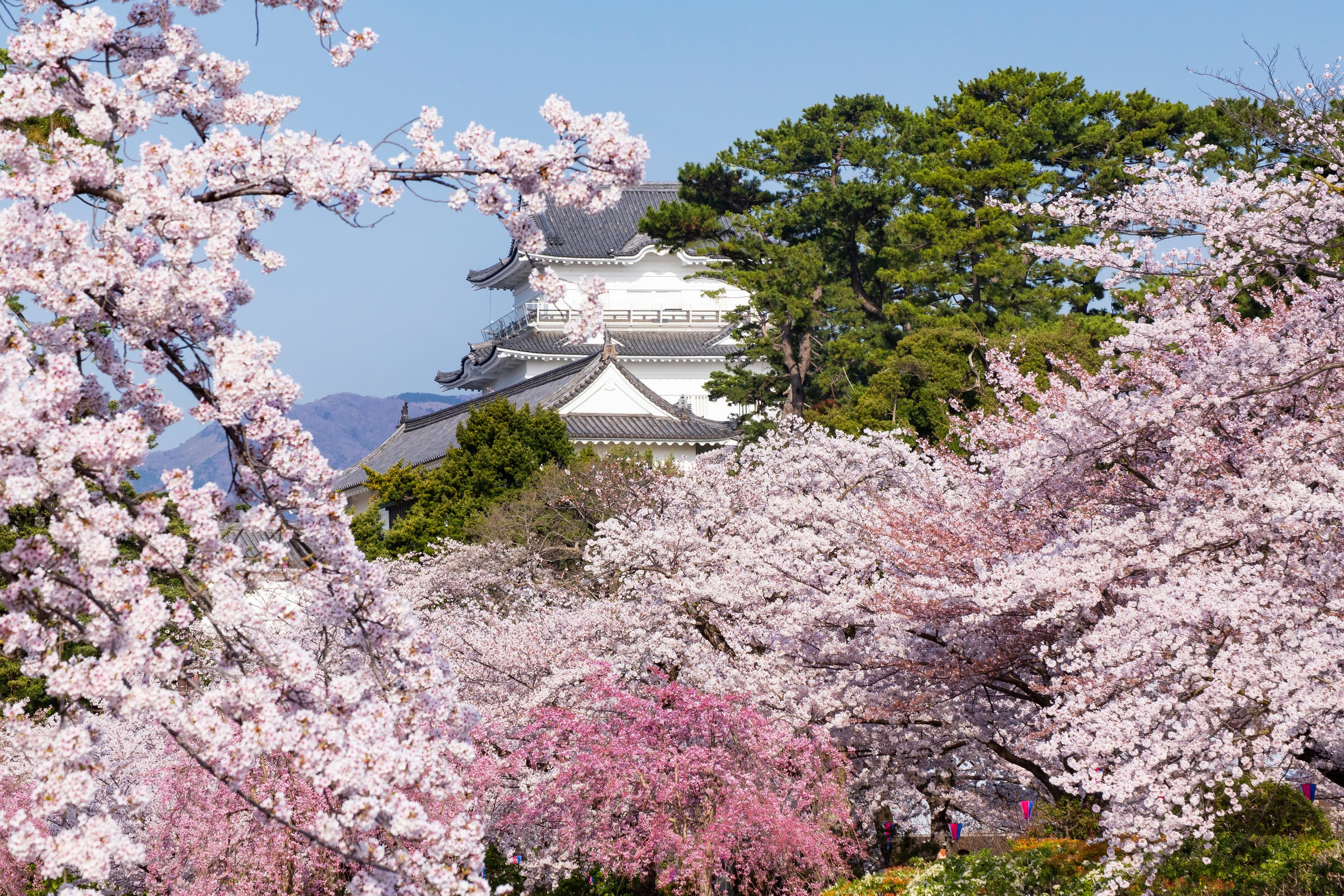 Odawara Castle cover image