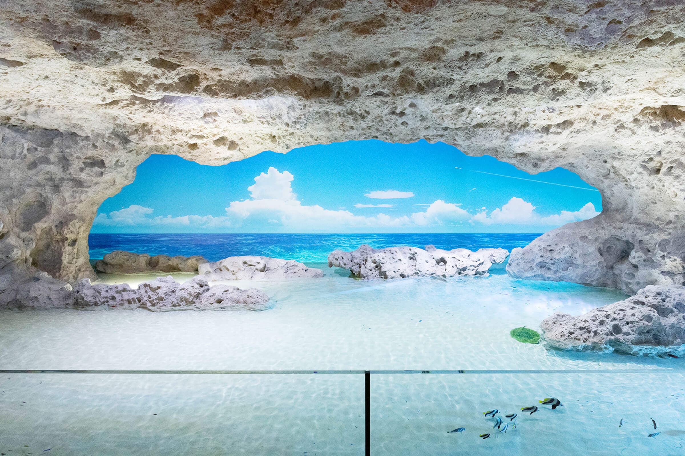 DMM Kariyushi Aquarium cover image