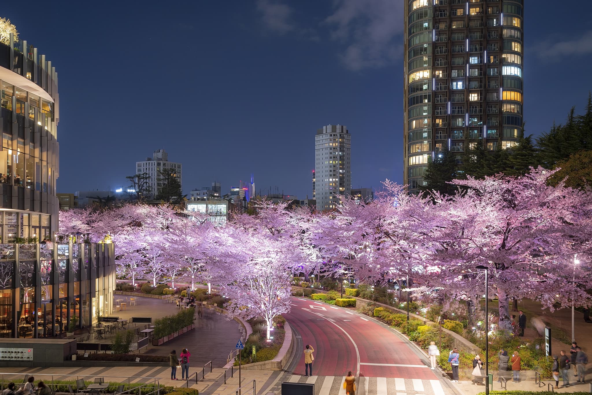 Roppongi cover image