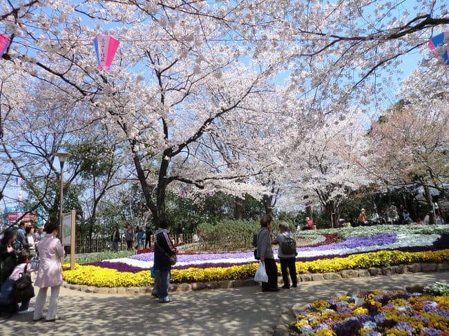 Asukayama Park cover image