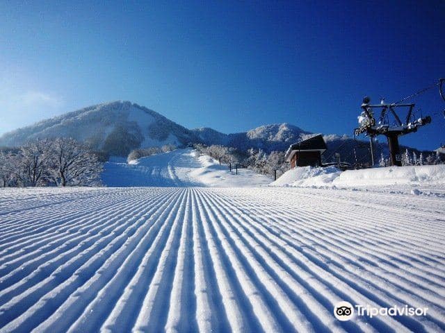 Горнолыжный курорт «Купидон Романтики»