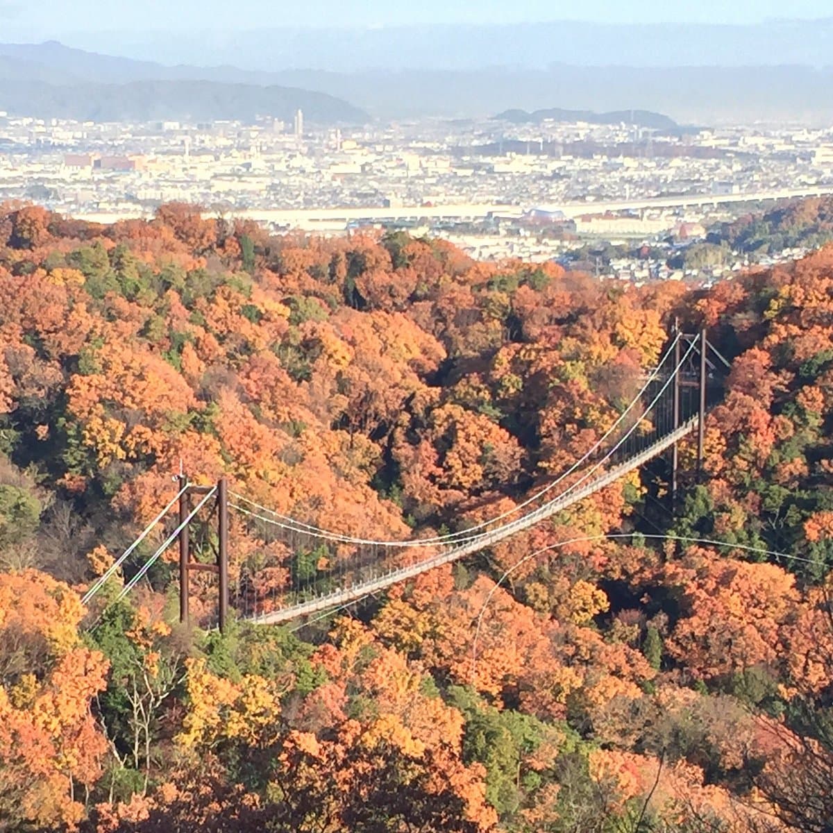 Парки префектуры Осака, Хошида Энти