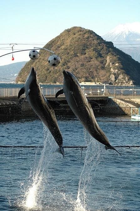 Морской рай Идзу Мито