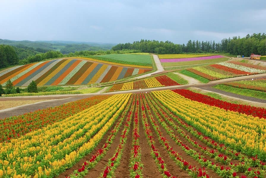 Панорамная дорога