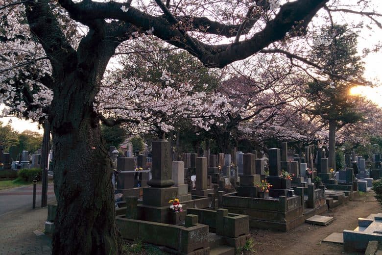 Yanaka Cemetery cover image