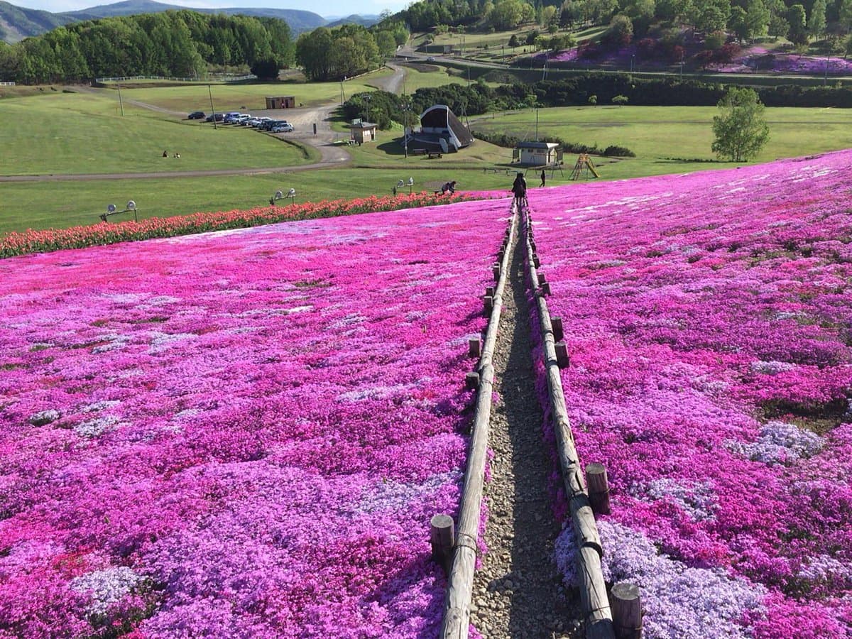 Парк Engaru Sun Hills