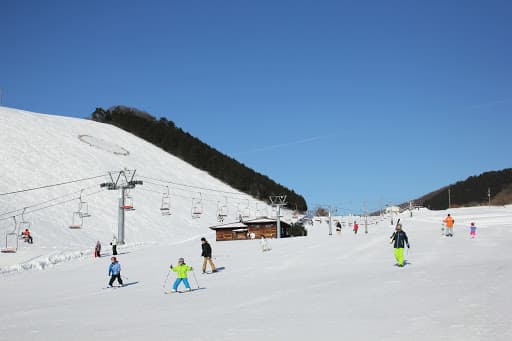 Горнолыжный курорт UP Kannabe Uenodaira / UP MTB PARK в Каннабэ