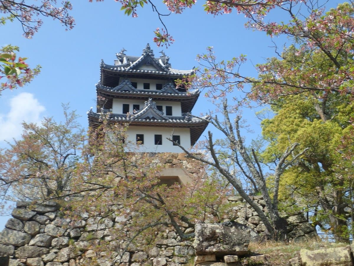 Sumoto Castle cover image