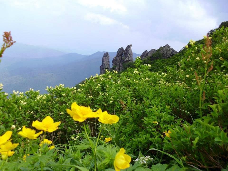 Куродаке