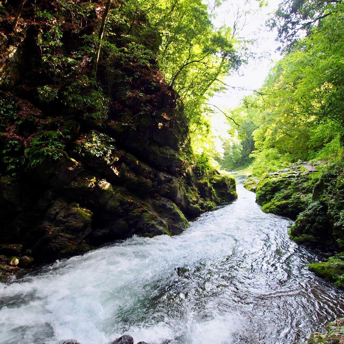 Амано Ясугавара