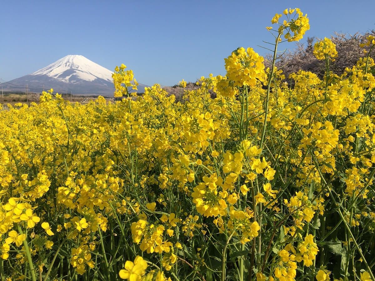 Панорама Юка но Сато
