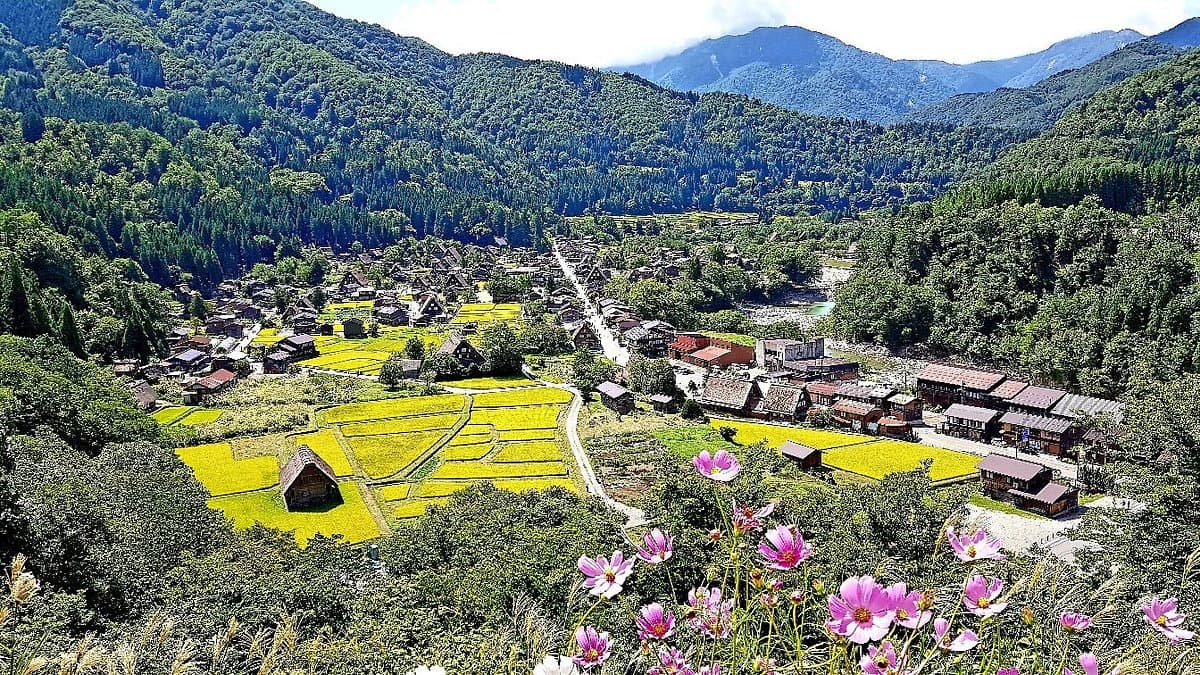 Сиракаваго