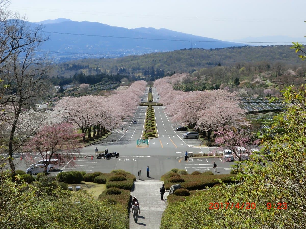Кладбище Фудзи Рэйэн