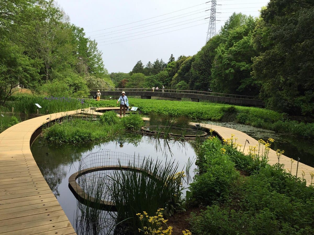 Tsukuba Botanical Garden cover image