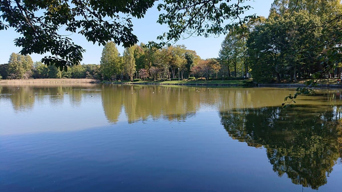 Doho Park cover image