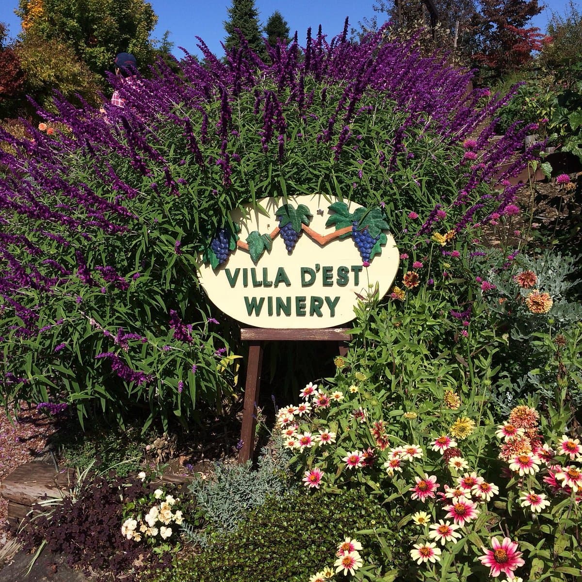 Сад-ферма и винодельня Villa d'Est