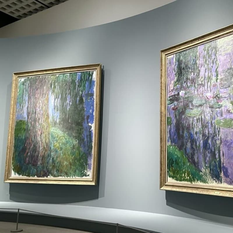 Monet 100th Anniversary Exhibition cover image