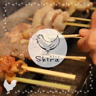 Yakitori shira: авторские якитори от шефа-сомелье