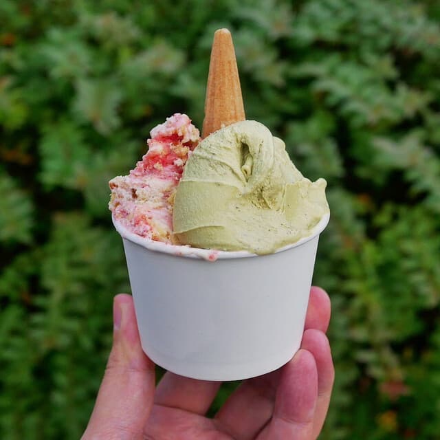 Italian Gelato Cerchio: джелато из молока ферм Ното