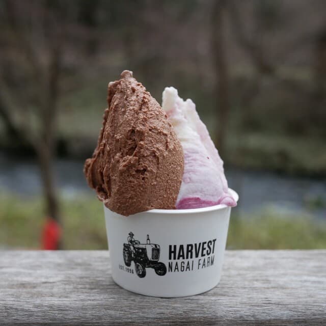 HARVEST NAGAI FARM Karuizawa ten: фермерское джелато