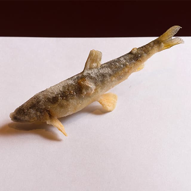 Tempura Kyoboshi: эталонная темпура за стойкой