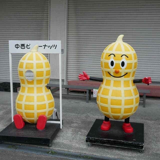 Nakanishi Peanuts: арахисовые снеки от производителя