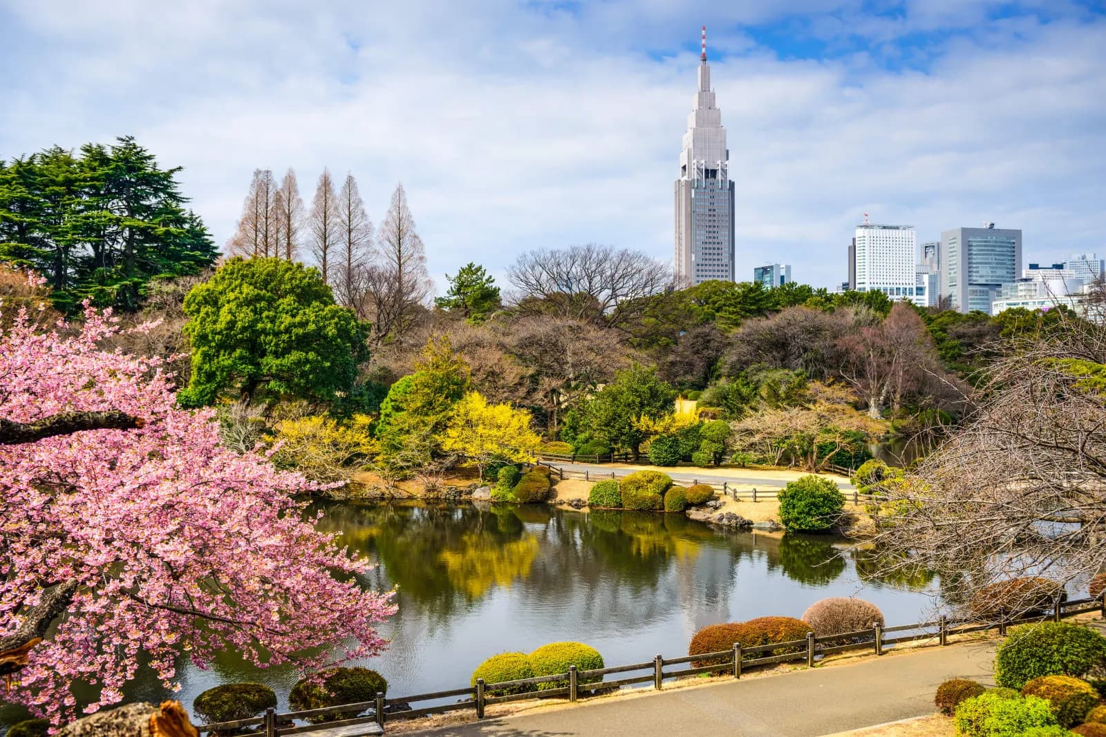 Kimpton SHINJUKU TOKYO by IHG - 3